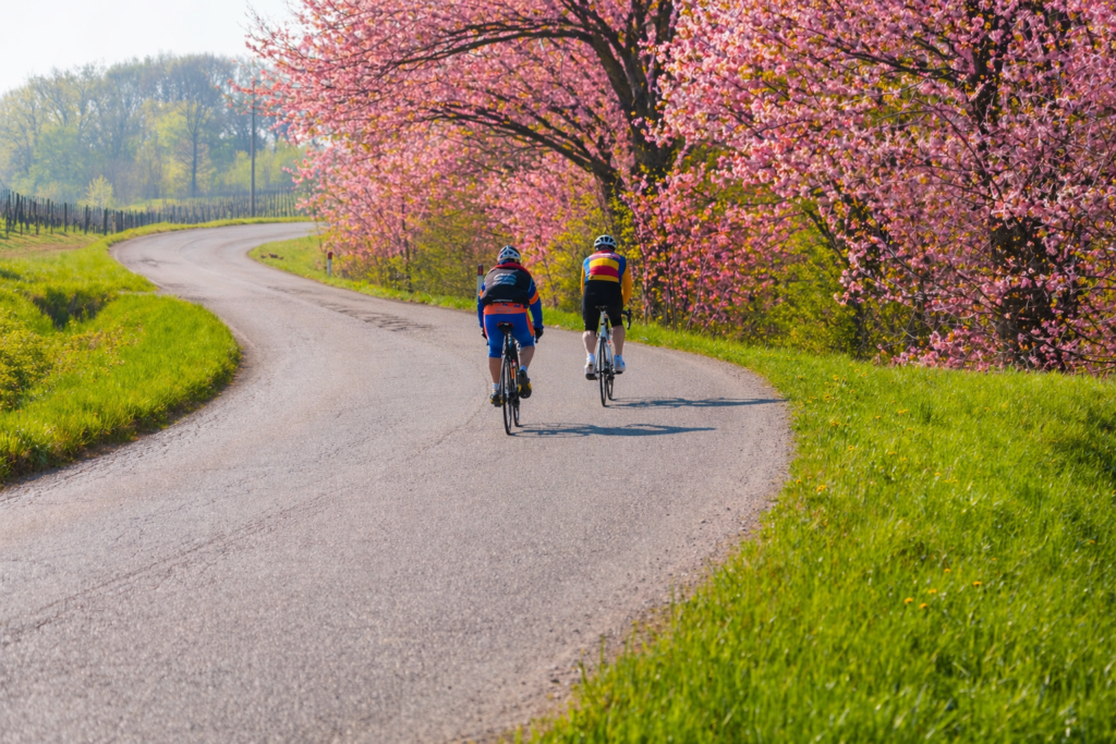 foto di ciclisti su strada asfaltata e alberi in fiore