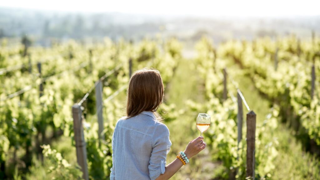 Dal vigneto al calice: esperienze per scoprire il vino nella Marca Trevigiana