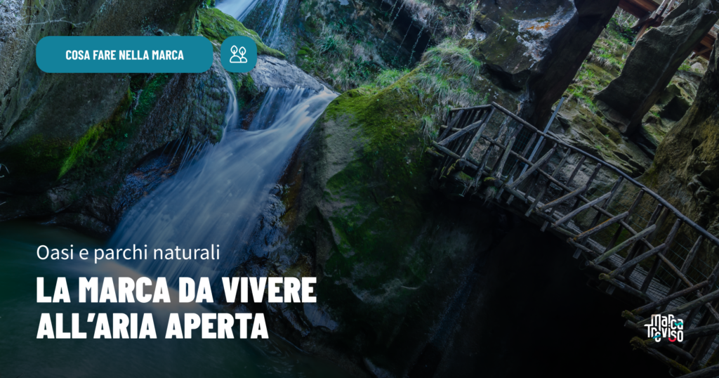 Visit Treviso