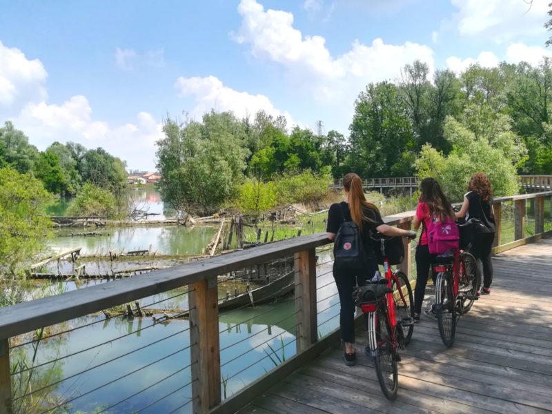 Visit Treviso